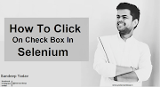 How to Click on Check Box in Selenium WebDriver 