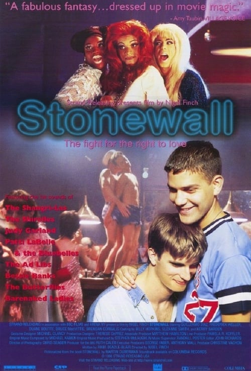 Ver Stonewall 1995 Pelicula Completa En Español Latino