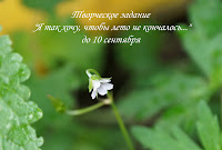 http://cherdaksovi.blogspot.ru/2014/07/blog-post_25.html