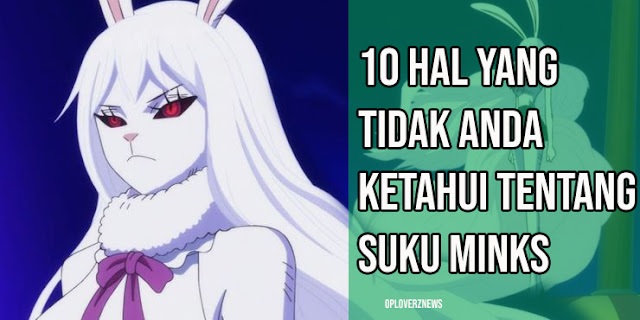 One Piece: 10 Hal yang Tidak Anda Ketahui Tentang Suku Minks