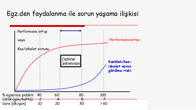 Dikkat! Kişiye özel egzersiz yapılmalı!