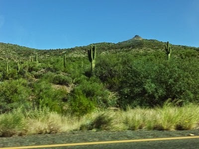058dev-DSCF1484