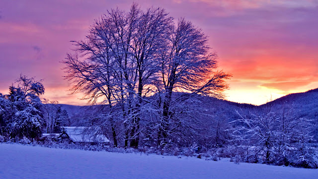 Free Download Winter Sunset HD Wallpapers for iPhone 5