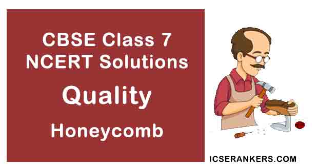 NCERT Solutions for Class 7th English Chapter 5 Quality