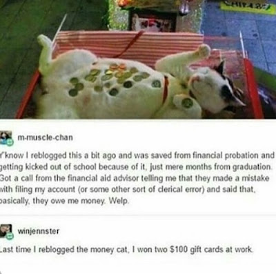 Lucky money cat. Comments below about getting money after re-posting image.