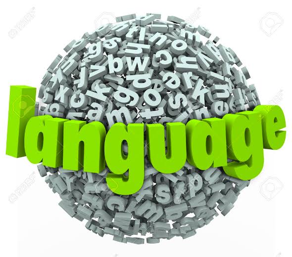 ভাষার অর্থ ও ধারণা (Language- Meaning and Concept)