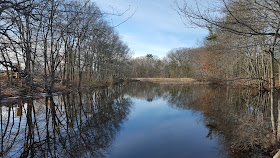 one of the Mine Brook ponds as the brook crosses Beaver St