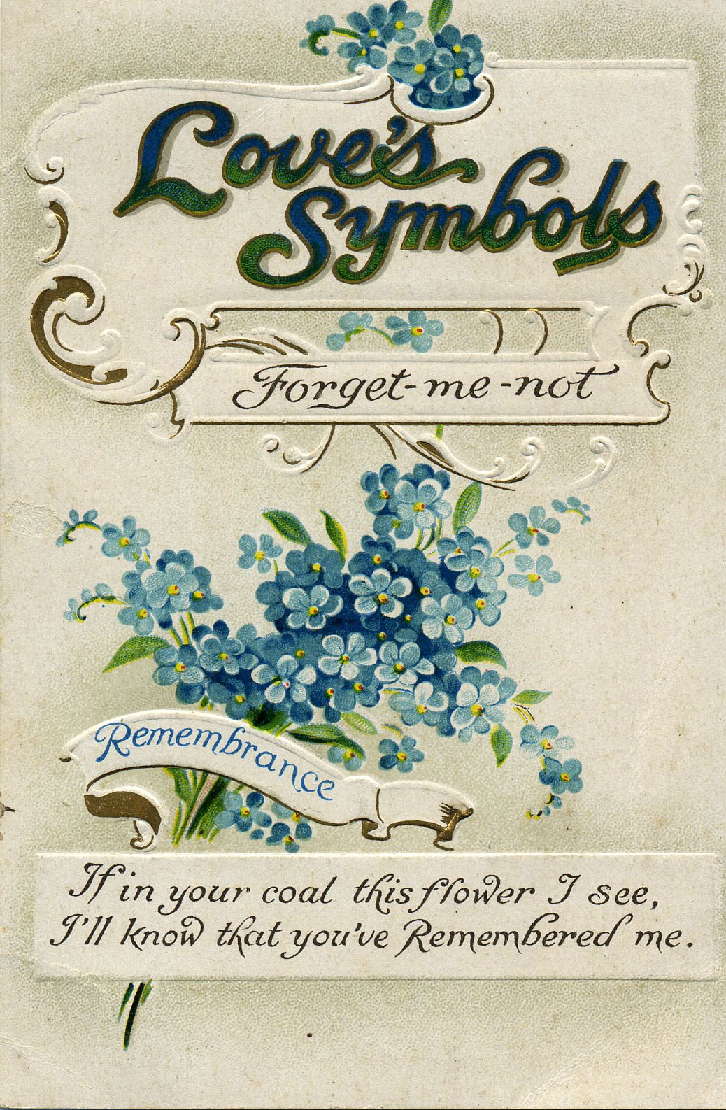 Seeing Symbols In Love And Remembrance The Forget Me Not