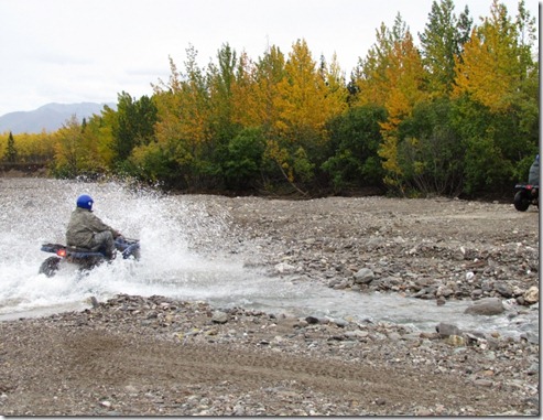 Denali 133 (800x600)