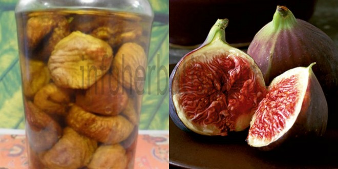 D'@roma fig: KOLESTEROL, DARAH TINGGI DAN GANGGUAN 