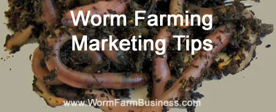 Worm Farming Marketing Tips