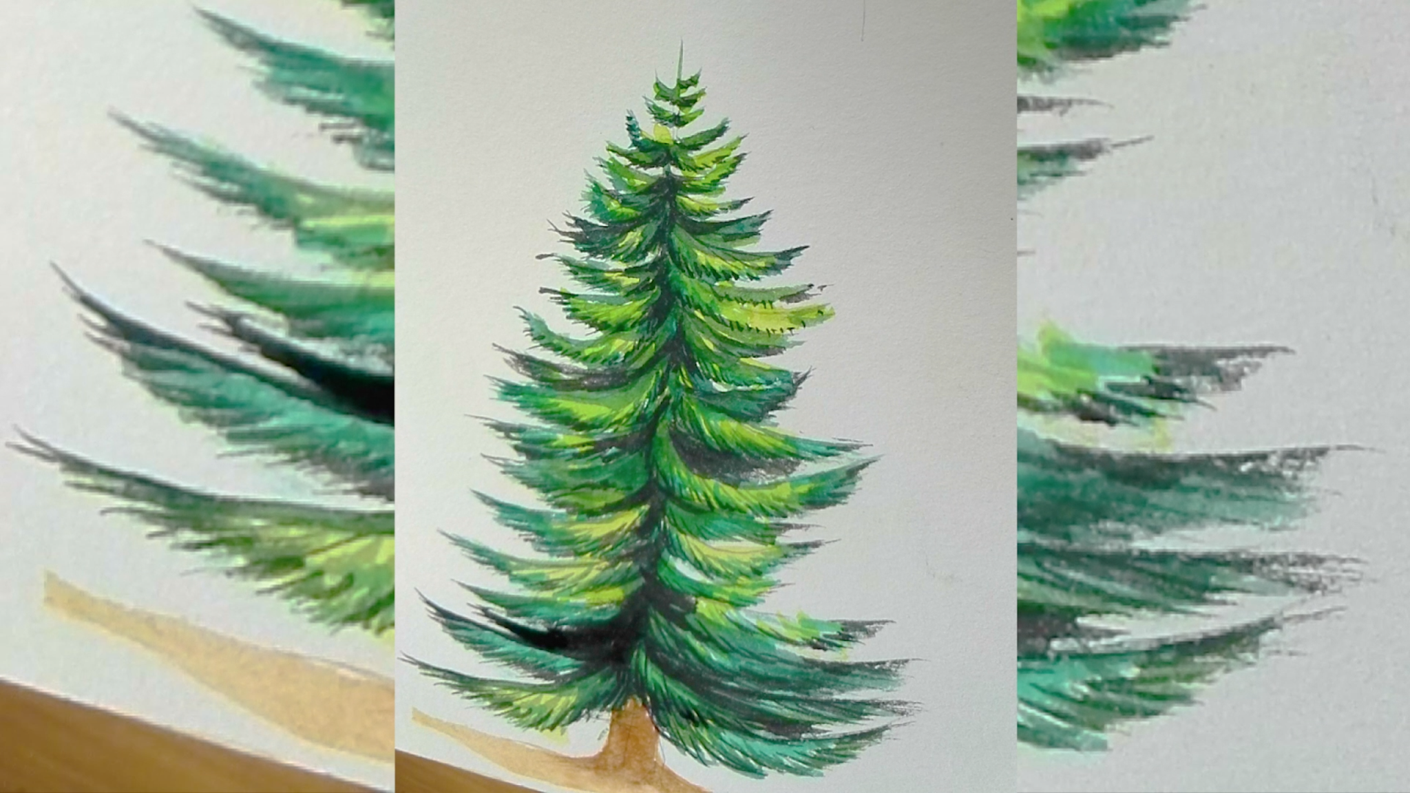 How to draw a pine tree step by step tutorial easy for begginer,come to see my online class