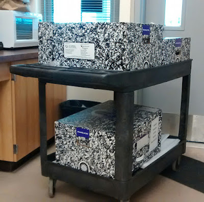 Two-decker push cart, laden with two boxes in top compartment and one box in the bottom. The boxes are decorated with an all-over black and white marbling effect.