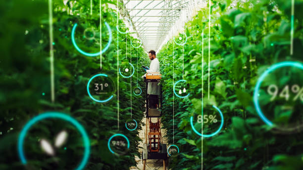The Rise of AI in Agriculture: How Technology is Transforming Farming