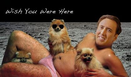 7 Reasons Why Nick Cage is the Best Actor Evah