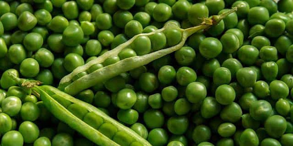 Benefits of Eating Peas - Health-Teachers