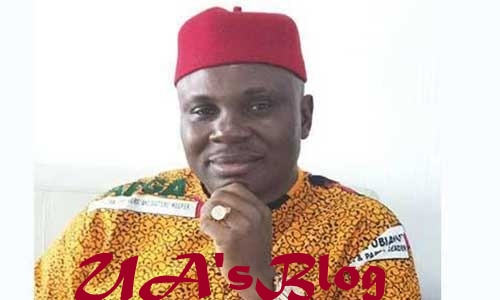 Appeal Court Affirms Ukachukwu As APGA Anambra South Senatorial Candidate