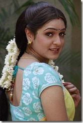 Telugu Actress Aditi Agarwal Saree Photos