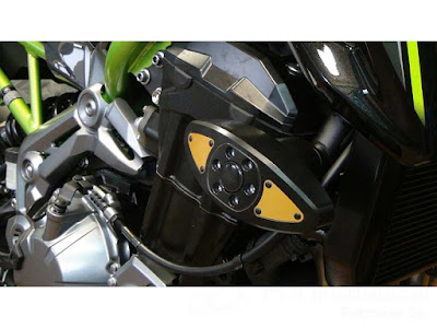 P&A International クラッシュパッド X-Pad / Extreme X-Pad Kawasaki Z H2