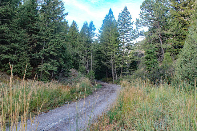 Lemhi Range Idaho geology travel Cretaceous Sevier orogeny thrust belt ATV UTV hiking trails offroad camping copyright RocDocTravel.com