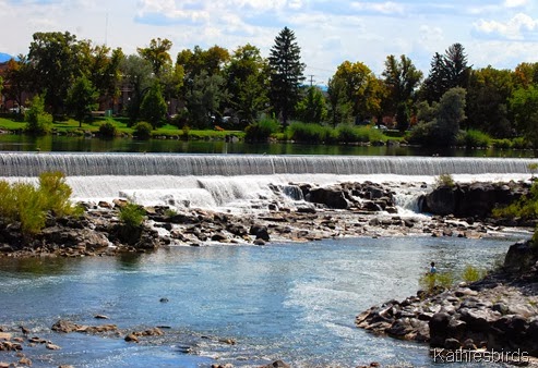 8. the falls-kab