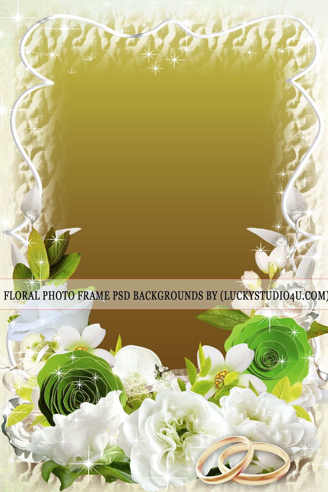 Download Floral Photo Frame Psd Backgrounds Download - StudioPk