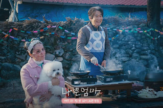 Sinopsis The Good Bad Mother Korean Drama