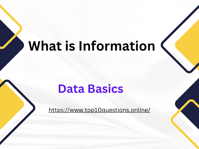 What is Information 2024