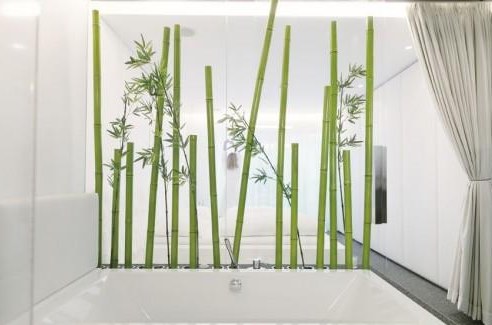 Fine Lay Out Of Apartment