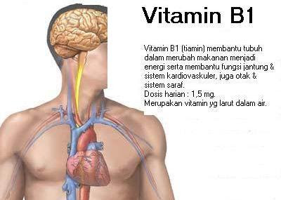 Vitamin B1 (tiamin)