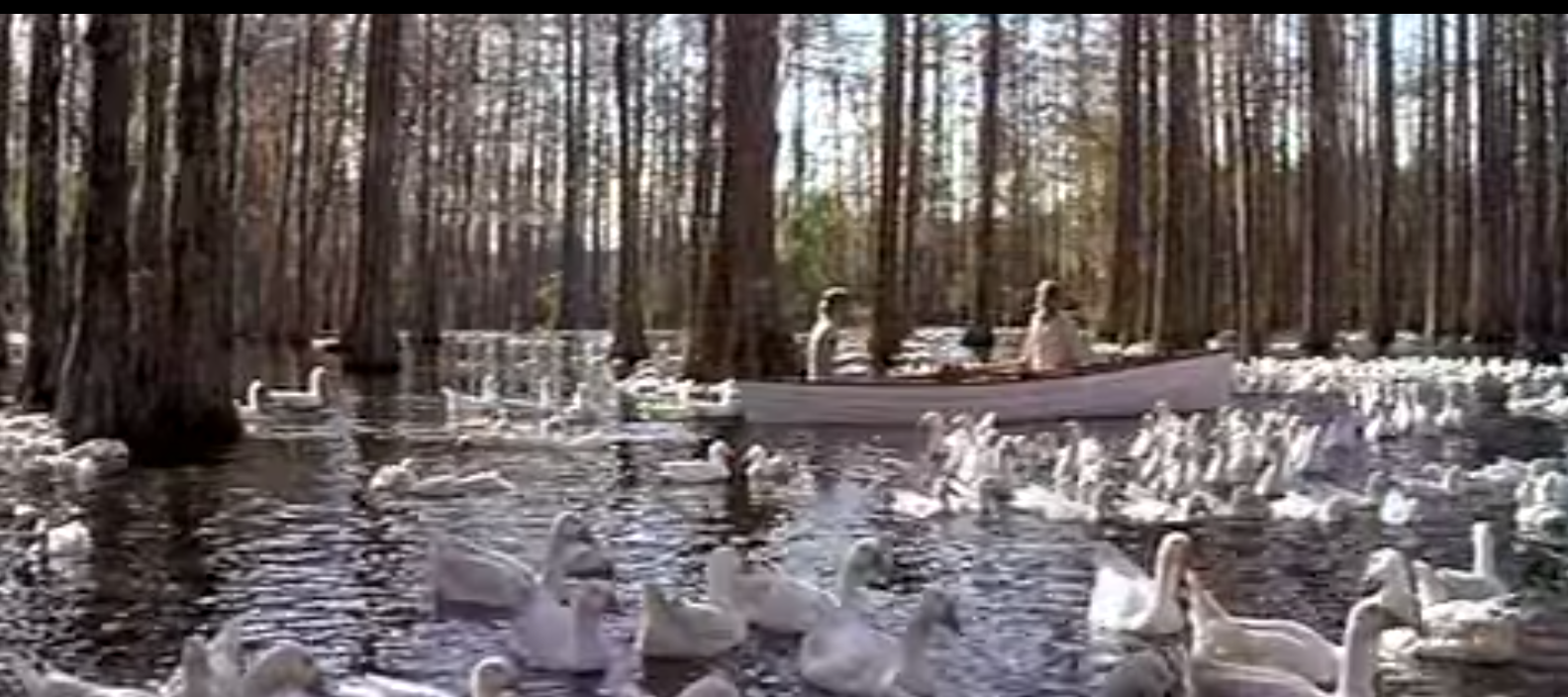 Movies Filmed in Charleston, South Carolina (and Where to Go to Movies Filmed in Charleston, South Carolina (and Where to Go to