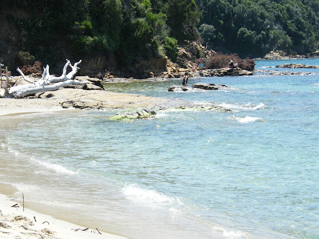 cala violina, toscana