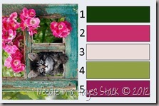 Kitty Card Sample