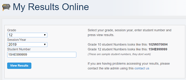 2024 Grade 11 NSSCO online RESULT CHECK