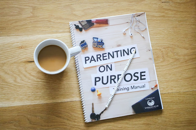 Parenting on Purpose DVD Series Review