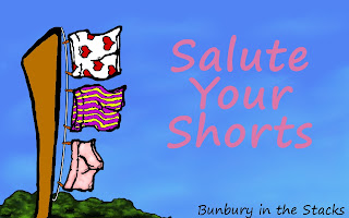 Salute Your Shorts by Bunbury in the Stacks