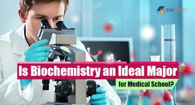 Is Biochemistry an Ideal Major for Medical School?