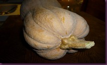 Gnocchi di zucca ai carciofi (1)