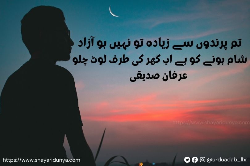 haam-Shayari-Evening-Shayari-Famous-Shaam-Shayari-Collection-Shaam-poetry-in-urdu-Poetry-on-evening-in-urdu-2-line-shaam-shayari-Dhalti-shaam-poetry-in-urdu text