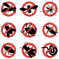 Seperti kita ketahui bahwa beberapa serangga tertentu sanggup membawa dan mengakibatkan penyak Tips Bahan Alami Penolak & Pengusir Berbagai Macam Serangga 