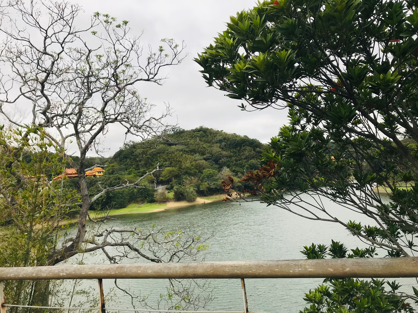 頭屋景點 明德水庫．日新島