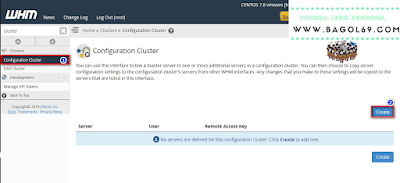 Instalasi  DNS  Cluster  Cpanel