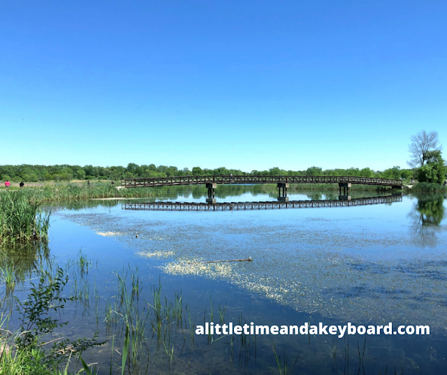 Wandering over the bridge across Mallard Lake in Hanover Park, Illinois