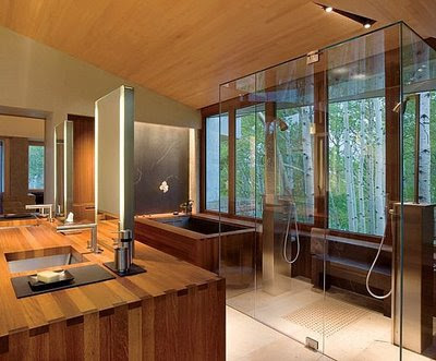 bathroom interior design using wood