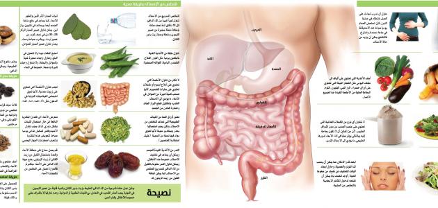 كيف نحافظ على سلامة الجهاز الهضمي ؟