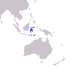 Cacatua sulphurea dağılım haritası