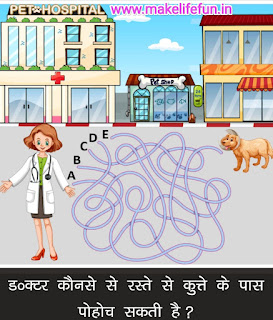 Doctor maze Puzzle, dog maze Puzzle, bhul bhuleya,