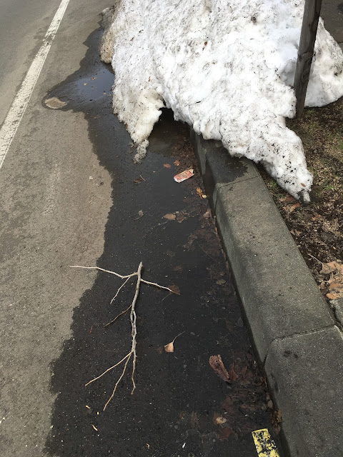 北海道の雪解けは隠れていたゴミがいっぱい出てくる