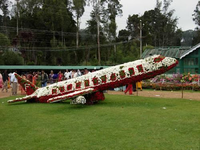 Ooty Flower Show Plane still