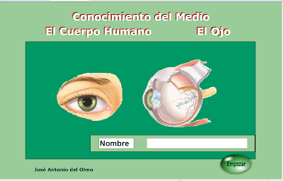 http://www.juntadeandalucia.es/averroes/~23003429/educativa/CM_ojo.html